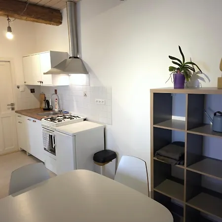 Apartman Sedlecka V Centru Kutne Hory Kutná Hora Buitenkant foto